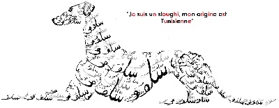 D'Imi-N-Tanout - il faut sauver le sloughi tunisien !