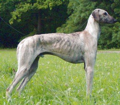 Urkhan el zaïm D'Imi-N-Tanout