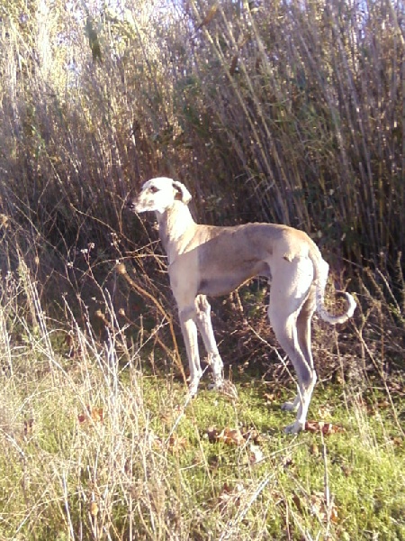 Usleg el kelaa D'Imi-N-Tanout